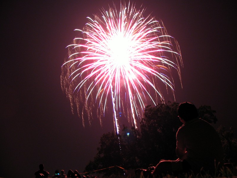 Fireworks Viewer