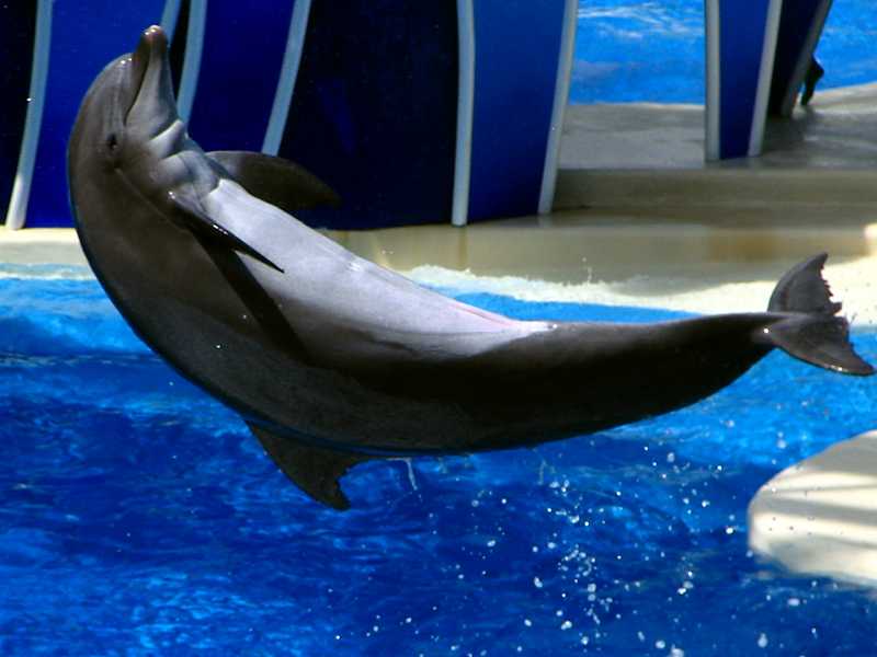 Seaworld